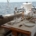 Luxury charter sailing yacht food Noheea